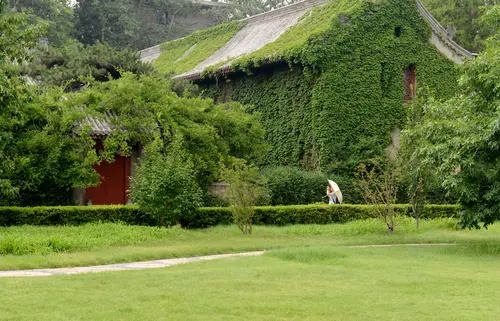 【厦门大学】聊聊心中国内最美的十所大学