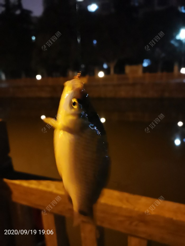 |再试自制跑铅子线 抗流水鱼获也可以