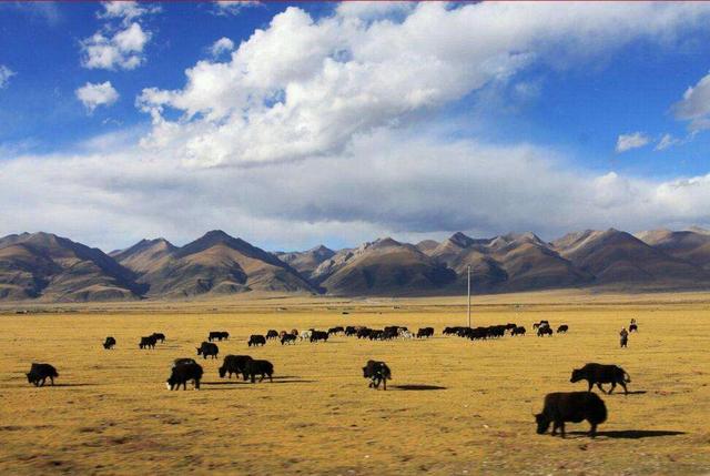 自驾|游记：自驾G318川藏线——川进青出最长一段，800公里穿行（一）