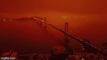 每天阅读|中国又一地区紧急封城!四川暴雨,美国大火:2020的浩劫,仍未停止