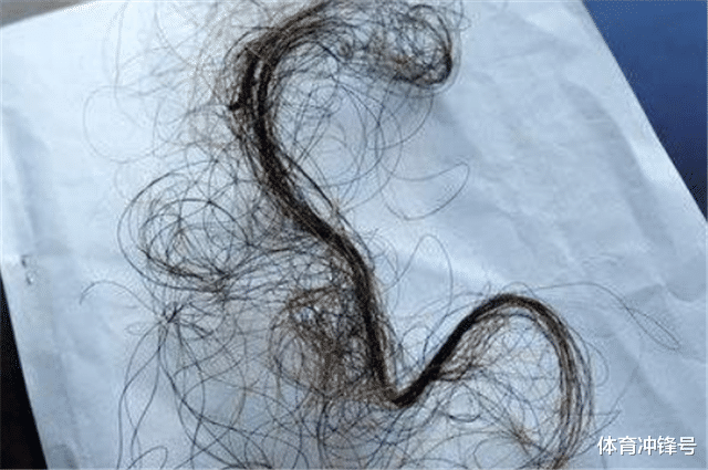 【科学家】神农架深处被列为禁区，只因这一诡异现象，科学家难以解释