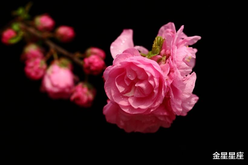 生肖@未来半年不再穷，此3生肖，贵人帮，财运守得云开见月明