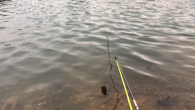 「玉米」夏季垂钓，针对不同鱼类，作出不同饵料配搭，从而增加中鱼率