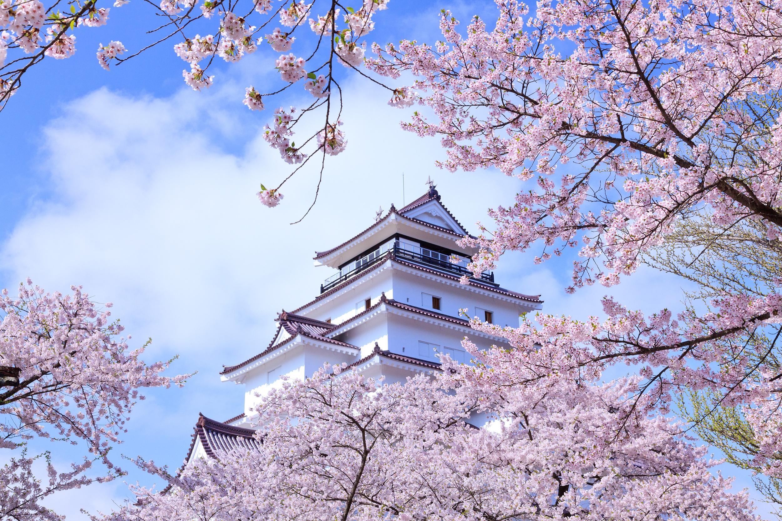 移动支付|日本人宁可带现金，也不用微信支付的3大原因，今天总算是学到了