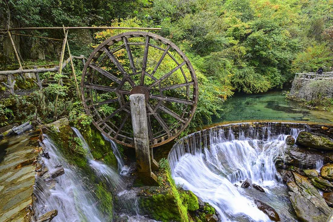 #神农架#触碰最原始的森林——神农架