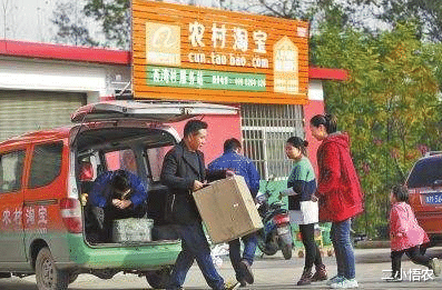 电子商务：马云说这三个农业项目，是未来的赚钱方向！