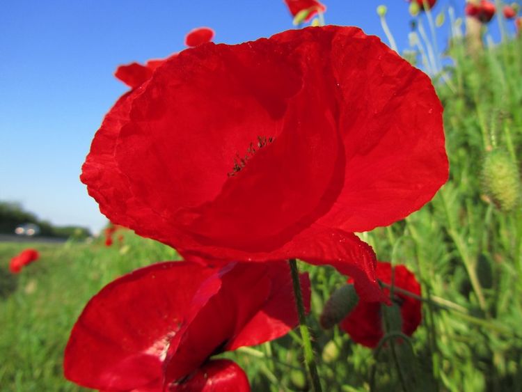 『』未来半年好运爆棚,富贵到来,大发横财,钱财滚滚来的四属相