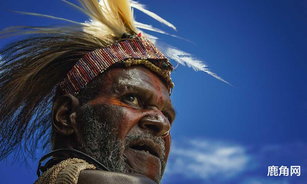 象牙|象牙到底珍贵在哪里？为什么总是有人购买象牙？