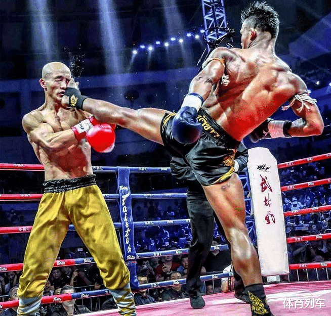 迈克·泰森@一龙挑战泰森会有何下场？有历史为鉴，日本格斗天才被梅威瑟碾压