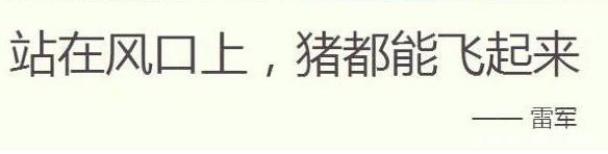 雷军:雷军不愧“风口上的猪”!换头神器众筹2818%,网友:逼疯7亿男人