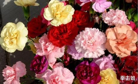 生肖@3生肖六月下旬惹不起，转运成功，财运爆发，钞票用麻袋装，接喜