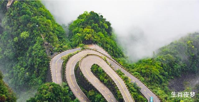 生肖@5月底，花开不败，找回真爱，3生肖不再退缩，不遗余力再爱一次