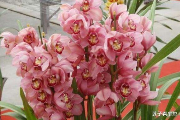 「摩羯座」未来7天,旧爱回头,痴情依旧,3星座重拾旧爱,把你捧在手心里