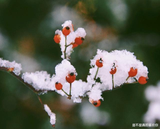 双子座|备胎最多的3大星座，一生桃花不断，魅力无人能敌！