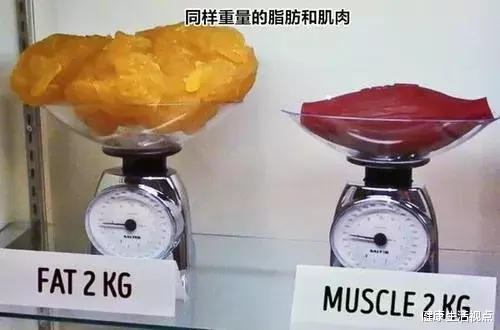 朱一龙|朱一龙半个月减12斤，Rian瘦到脸颊凹陷，男星圈开始流行暴瘦了？