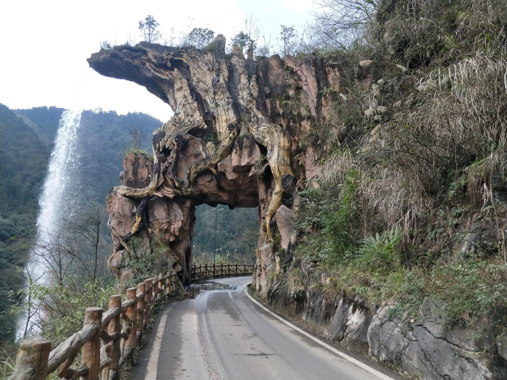「成都」什么？成都人的五一，南宝山成了首选之地