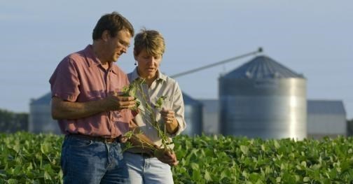 |为何美国宁愿赔钱，也要将粮食出口给中国？内行人道出其中真相！