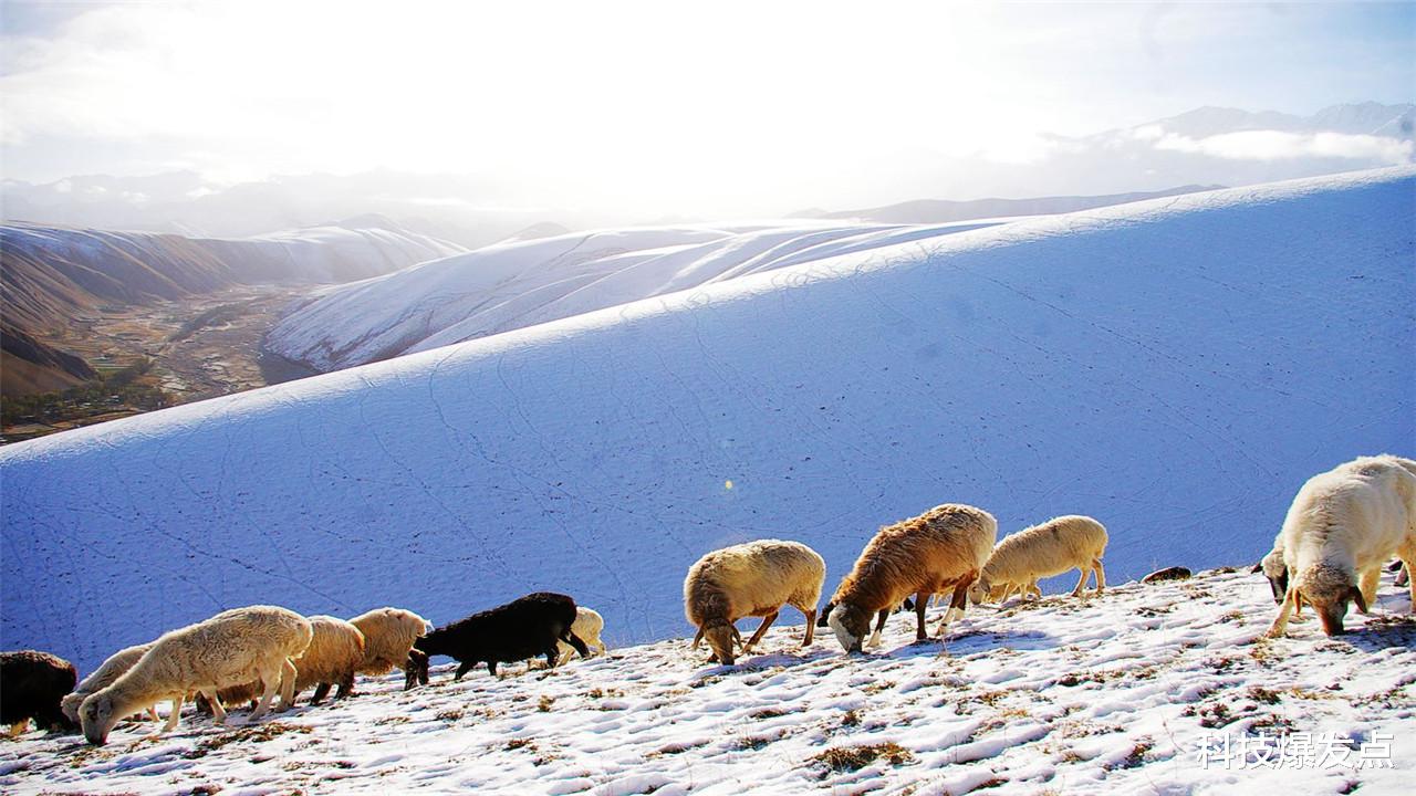 科学家|37年前昆仑山发生了什么？灵异事件频发，科学家怎么解释？
