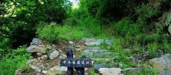 [天山]柞水 | 一个来了不想走，走了还想再来的地方