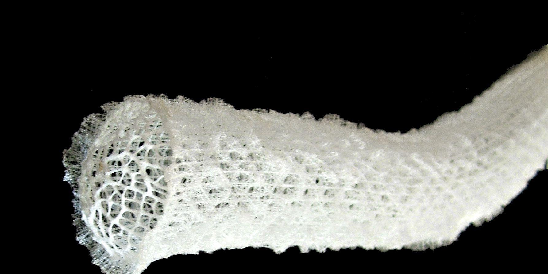 外星人|受深水海洋海绵骨骼启发 科学家开发出更强更轻的承重结构