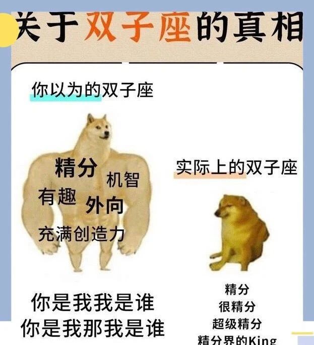 生肖|你以为的12星座和真实的12星座一样？可别误会了哦！