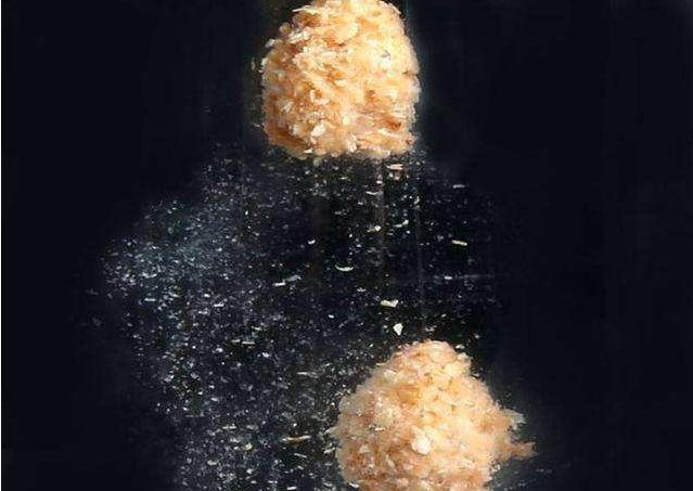 饵料|雾化好就能多钓鱼？谣言！揭露饵料状态背后的“秘密”