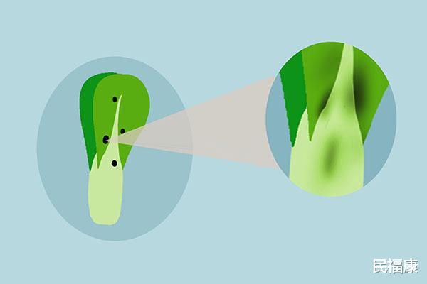 肝脏|癌症喜欢的人,大多都有哪些共同点?若你不在其中,或是抗癌体质