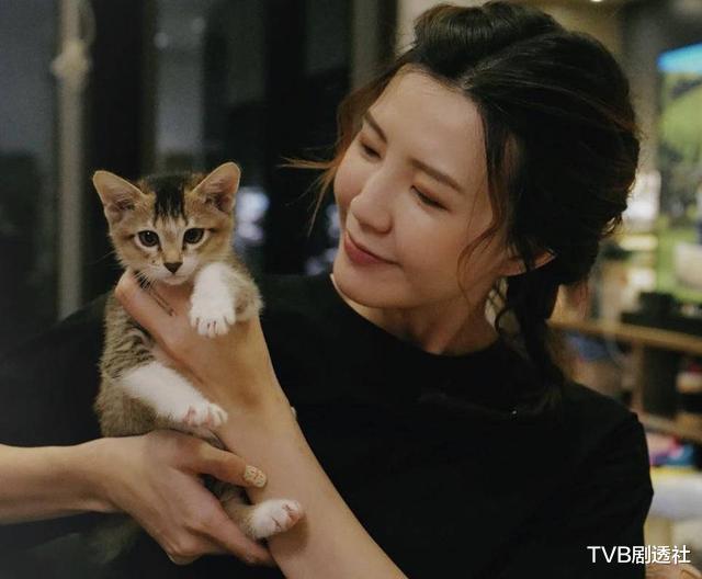 『吴若希』TVB主题曲女王再次发文称家中多了小男孩,疑与老公吵架后迅速和好