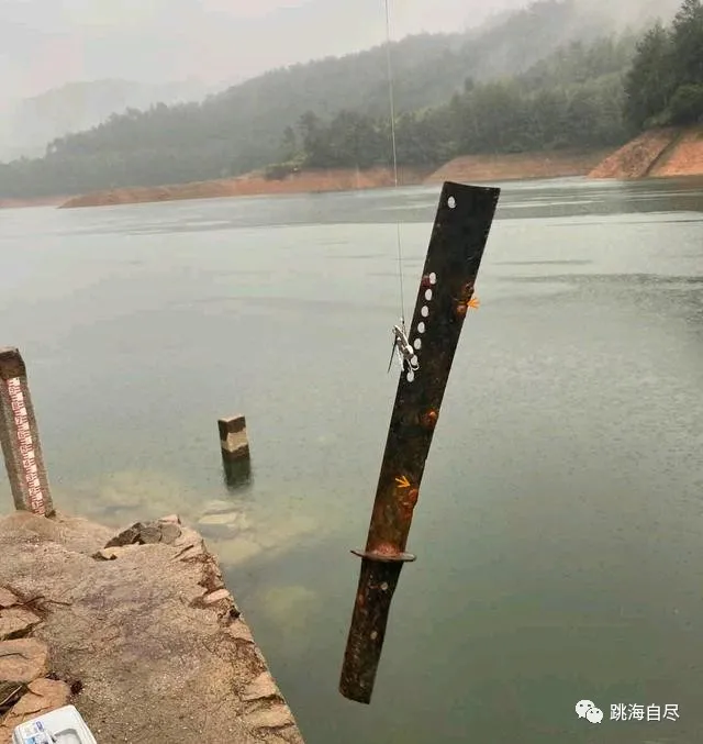 鲤鱼|一脸懵逼！全国各地的男人，为什么都喜欢钓鱼？