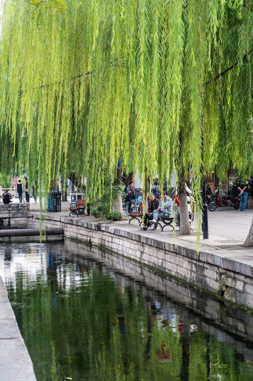 林芝|这才是国庆小长假最值得去的14个地方，莫负大好秋色，来一场避开人潮的旅行吧