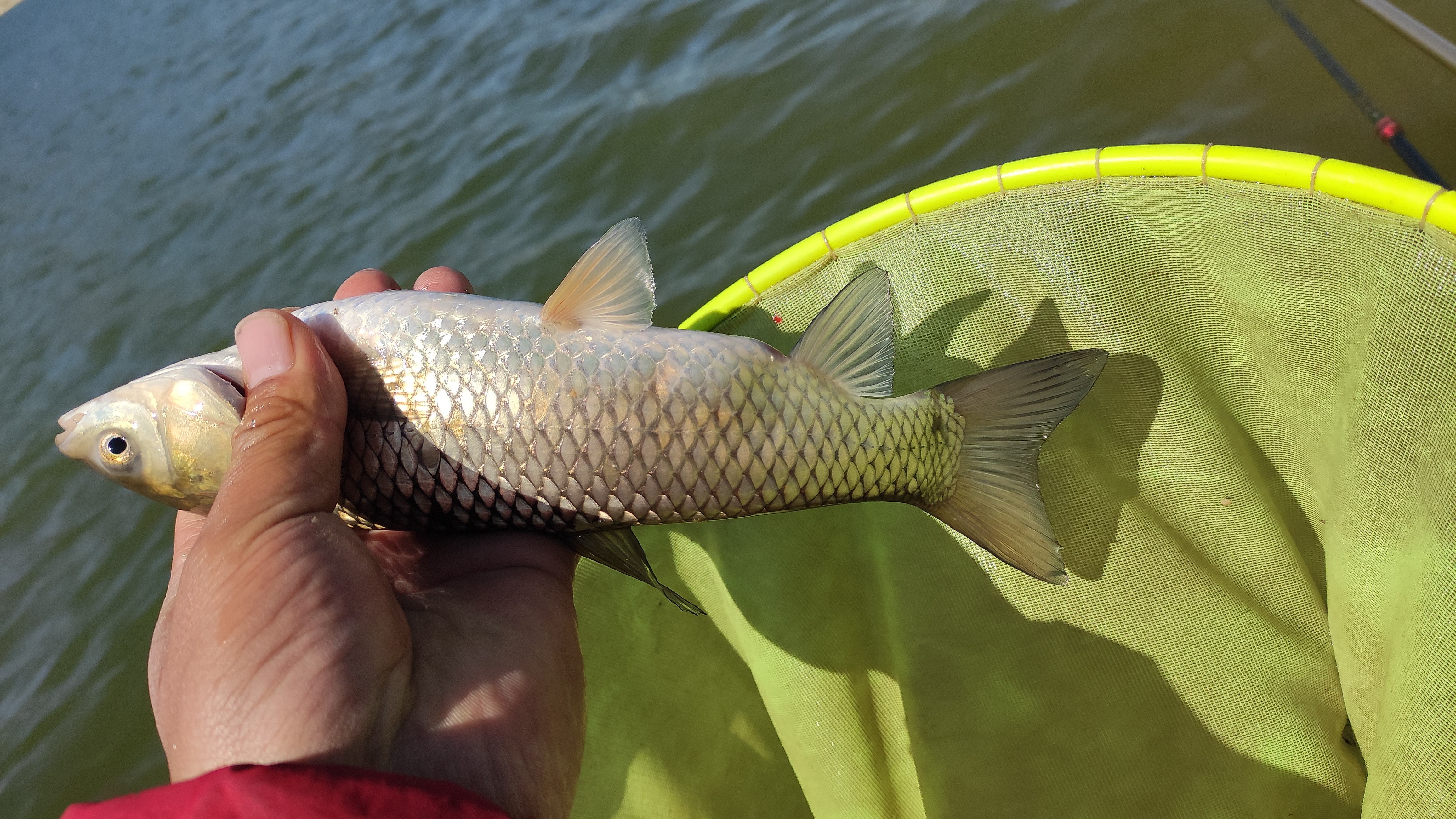 北镇▲用三次探钓解密，使钓友流连忘返的北镇神秘钓场