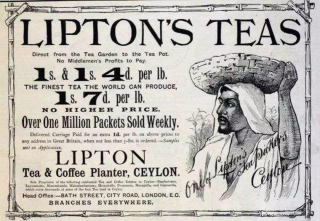 近代英國本土不生產一片茶葉，為何能終結中國的茶葉時代-圖5