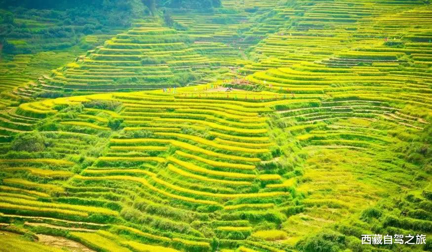 旅行|国内必去的100个地方，去过60个，称得上真正的旅行达人