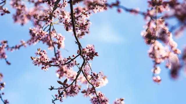 【康庄大道】未来五个月财运飚旺不停,富贵不断上门,走上康庄大道的四属相
