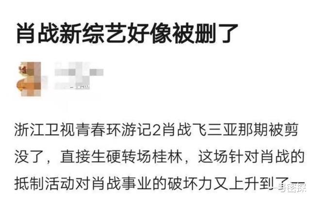 #最强大脑#新综艺节目镜头被删，代言全都打水漂，肖战风波后损失惨重