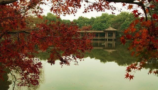 杭州■南方未来最吃香的城市，经济实力超过南京，被誉为人间天堂