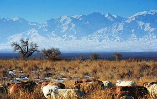 康熙|康熙口误叫错一水果，国人跟着叫错400年，可能你的叫法也错了？
