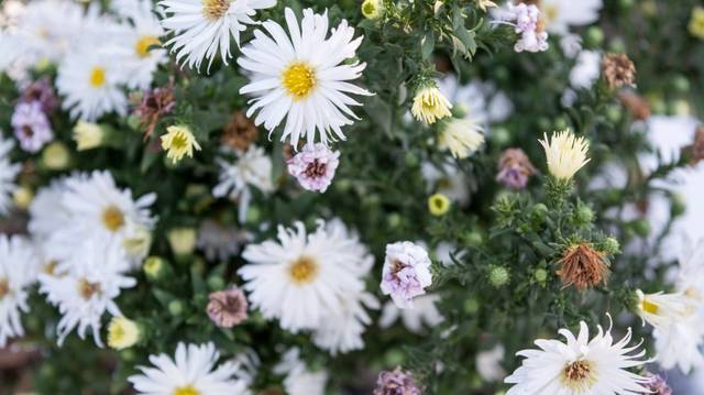 『』5月12号起运势回升,多金多福,横财大奖不愁,一顺百顺的四属相