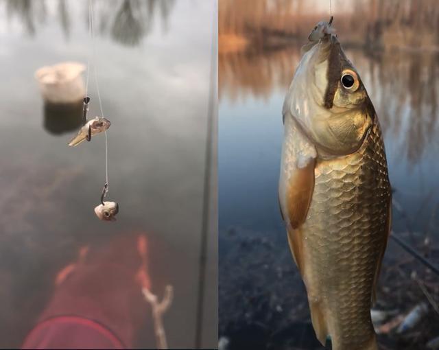 ##水库钓鱼被小鱼闹窝，钓友一怒之下用麦穗鱼钓鲫鱼，谁知竟连杆了