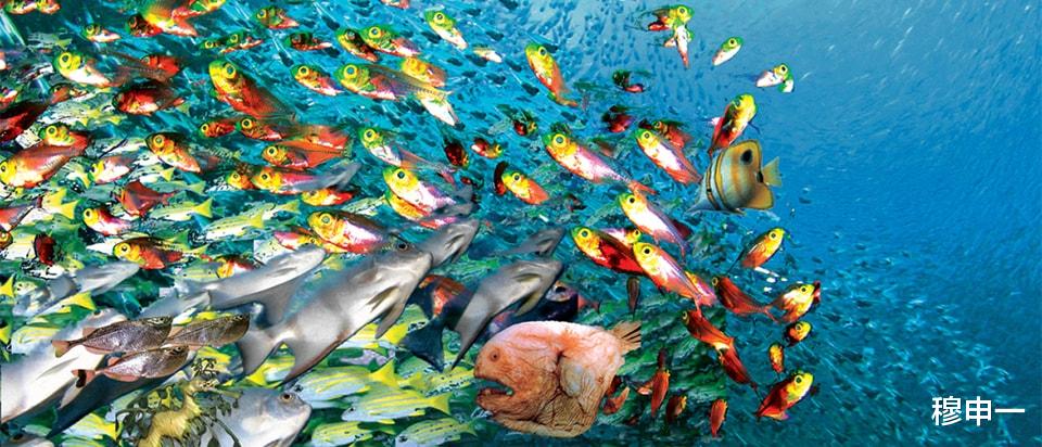 海水这么咸,不能直接喝,那海洋里的生物是怎么喝到淡水的?