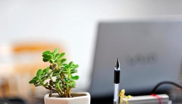 市场营销：最有“钱”途的四个专业，工资高、就业好，毕业就成“香饽饽”