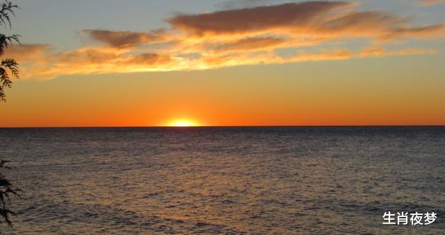 生肖▲5月底，风风雨雨，相遇旧爱，3生肖日有所思，夜有所梦，重修旧好