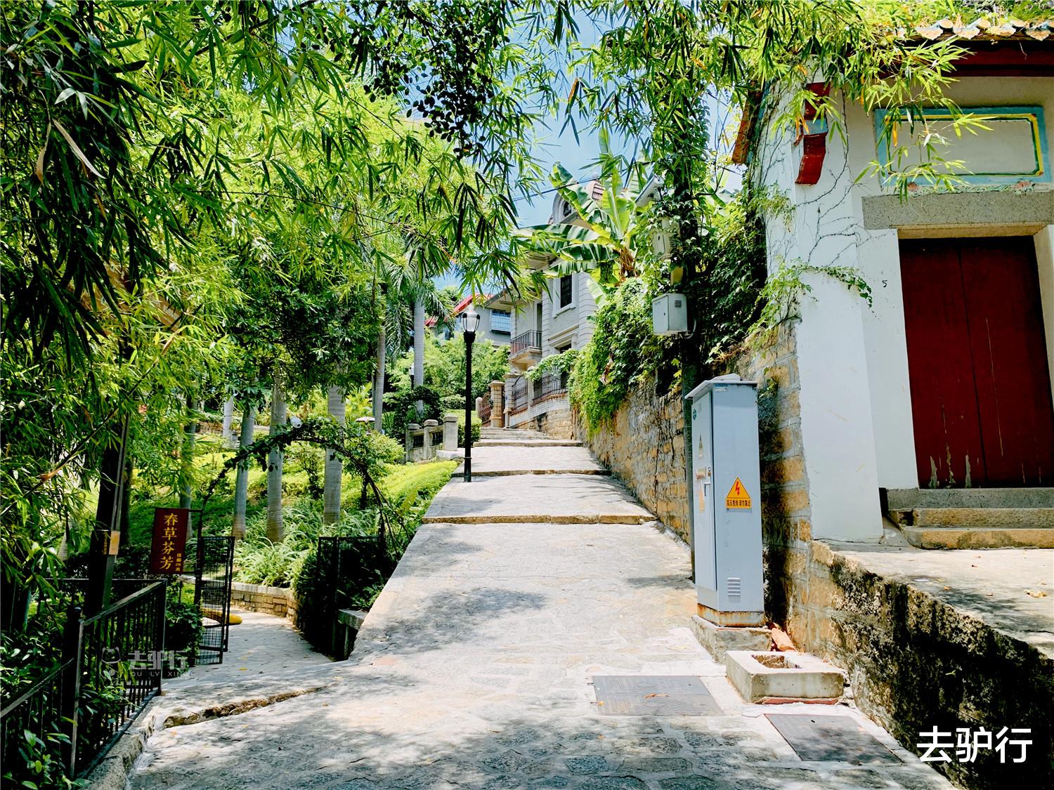 鼓浪屿|逃离鼓浪屿的年轻土著：坐拥别墅海景，却也抵不过现实的选择