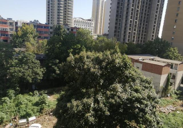 平顶山|平顶山这家烂尾小区居民好尴尬 买房8年入不了户口