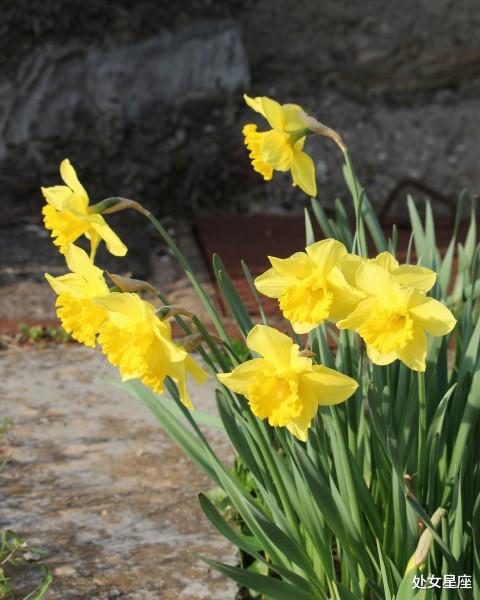 『生肖』6月22号，运势高涨，横财如雨发不停，3生肖大吉大利，福气来