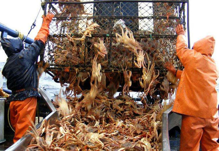 死亡率|世界上最危险的职业，一年工作五天就能赚70万，死亡率是很高的