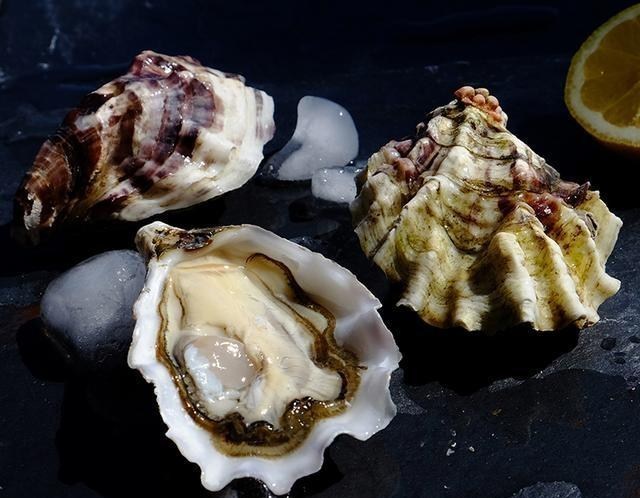 『龙虾』6种世界“最顶级”的海鲜,最贵卖到450万,最后一种有钱也吃不到