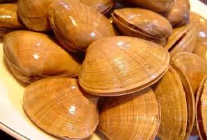 鱿鱼|开海了!这84种海鲜,你都认识吗?