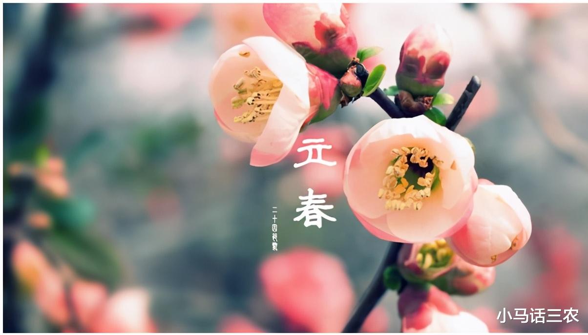 小马话三农 农村俗语“寡妇年倒春寒”，明年是寡妇年，会出现倒春寒吗？