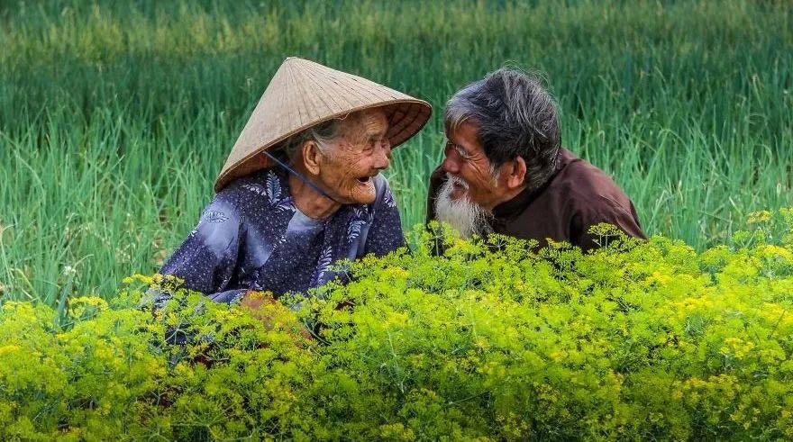 每天阅读|史上最催泪的30张照片，你能坚持到第几张